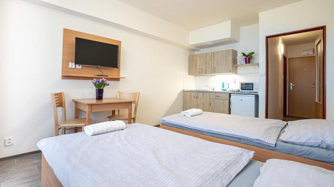 Apartmany A Studia Zamecky Park Litvínov Extérieur photo