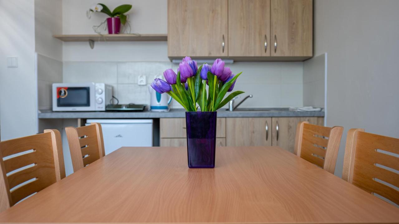 Apartmany A Studia Zamecky Park Litvínov Extérieur photo