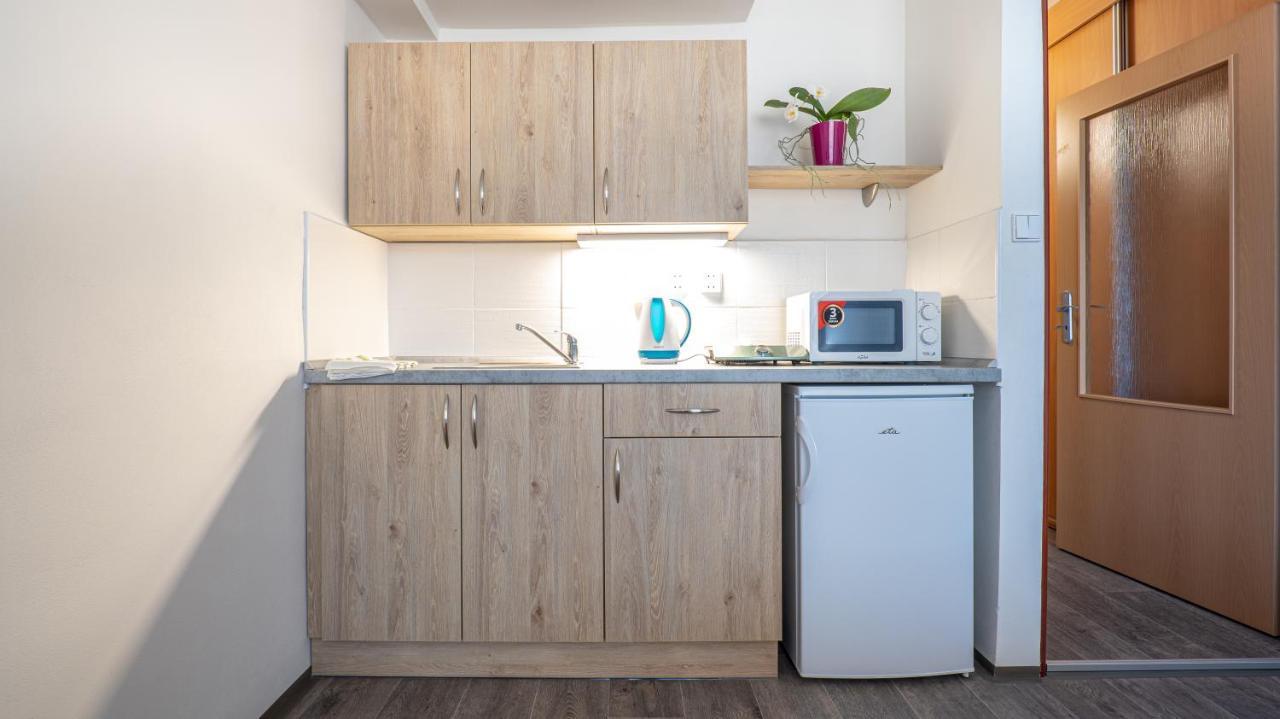 Apartmany A Studia Zamecky Park Litvínov Extérieur photo